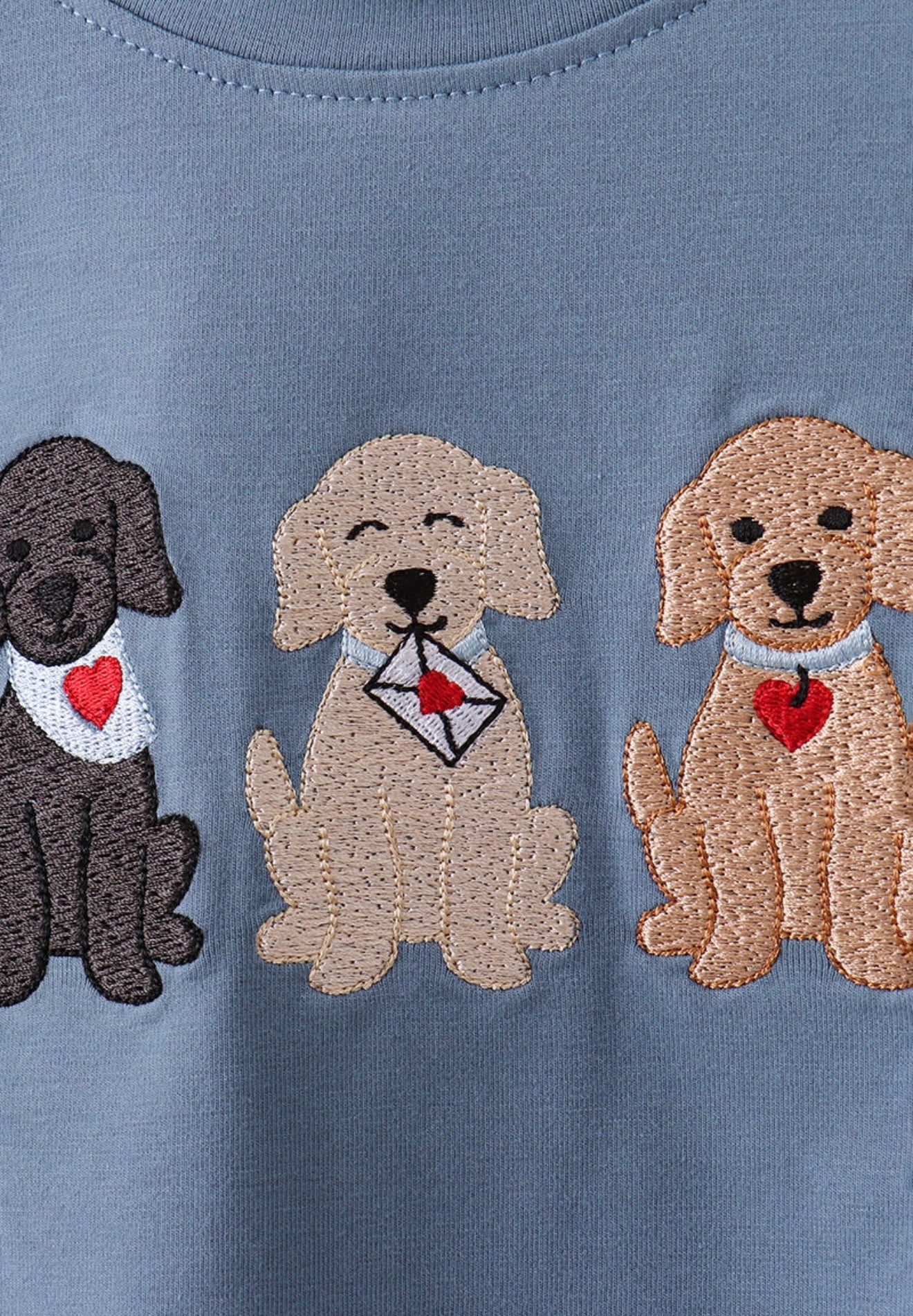 Blue puppy embroidery boy’s pants set