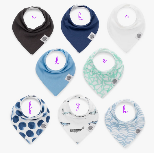 Parker Baby Bandana Bib Arctic Set