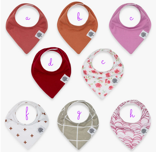 Parker Baby Bandana Bib Rose Set